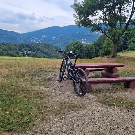 Daire Elbrus Czyrna Wypozyczalnia Rowerow E-bike Czyrna Szkola Narciarska & Wypozyczalnia Serwis Szczyrk