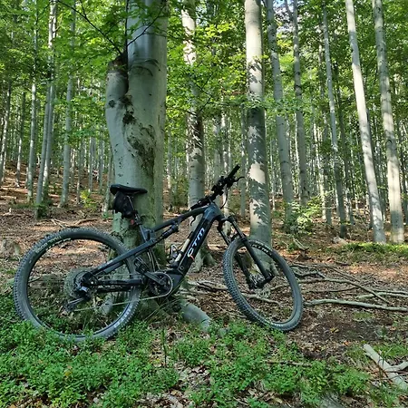 Elbrus Czyrna Wypozyczalnia Rowerow E-bike Czyrna Szkola Narciarska & Wypozyczalnia Serwis