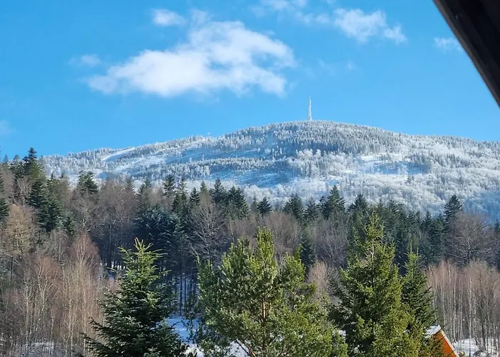 Elbrus Czyrna Wypozyczalnia Rowerow E-bike Czyrna Szkola Narciarska & Wypozyczalnia Serwis Szczyrk