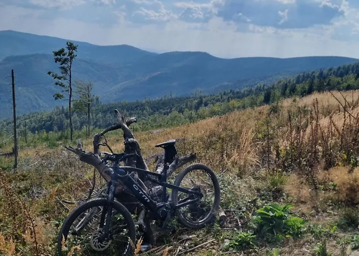 Lejlighed Elbrus Czyrna Wypozyczalnia Rowerow E-bike Czyrna Szkola Narciarska & Wypozyczalnia Serwis Szczyrk