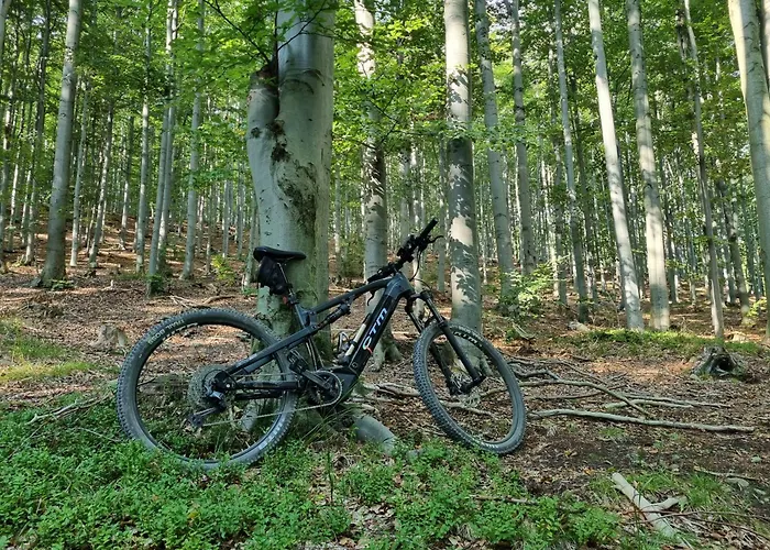 Elbrus Czyrna Wypozyczalnia Rowerow E-bike Czyrna Szkola Narciarska & Wypozyczalnia Serwis